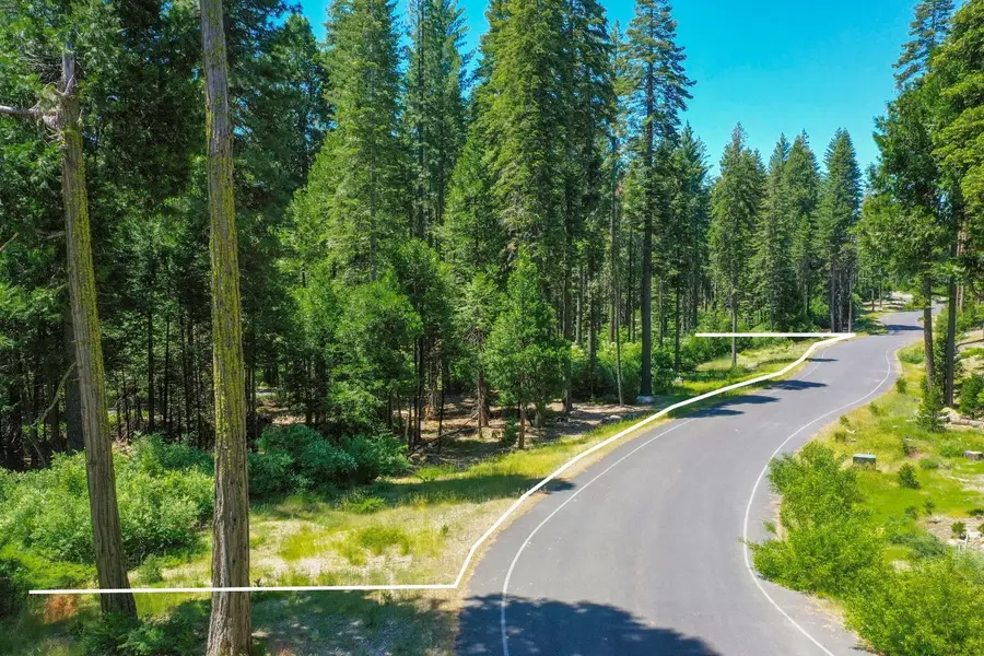 11 Timber Trail Court, Camp Connell, CA 95223 - #3