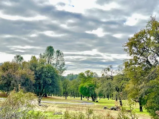 5037 Morgan Road, Angels Camp, CA 95222 - Image #1