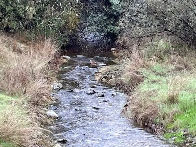 5037 Morgan Road, Angels Camp, CA 95222 - Image #2