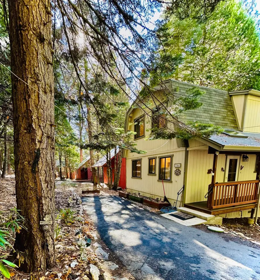 3561 Highway 4, Arnold, CA 95223 - #2