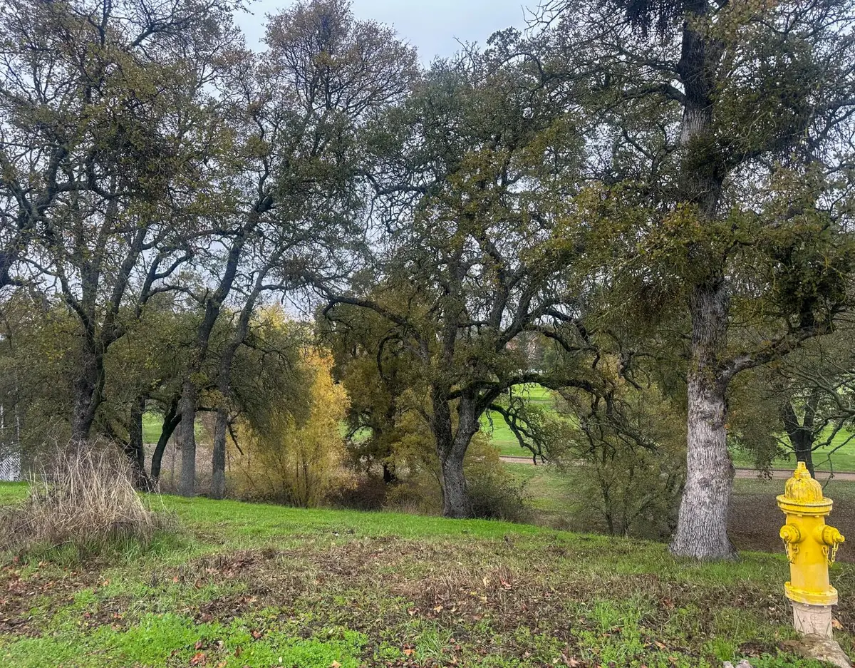 2063 Greenbriart, Valley Springs, CA 95252 - #1