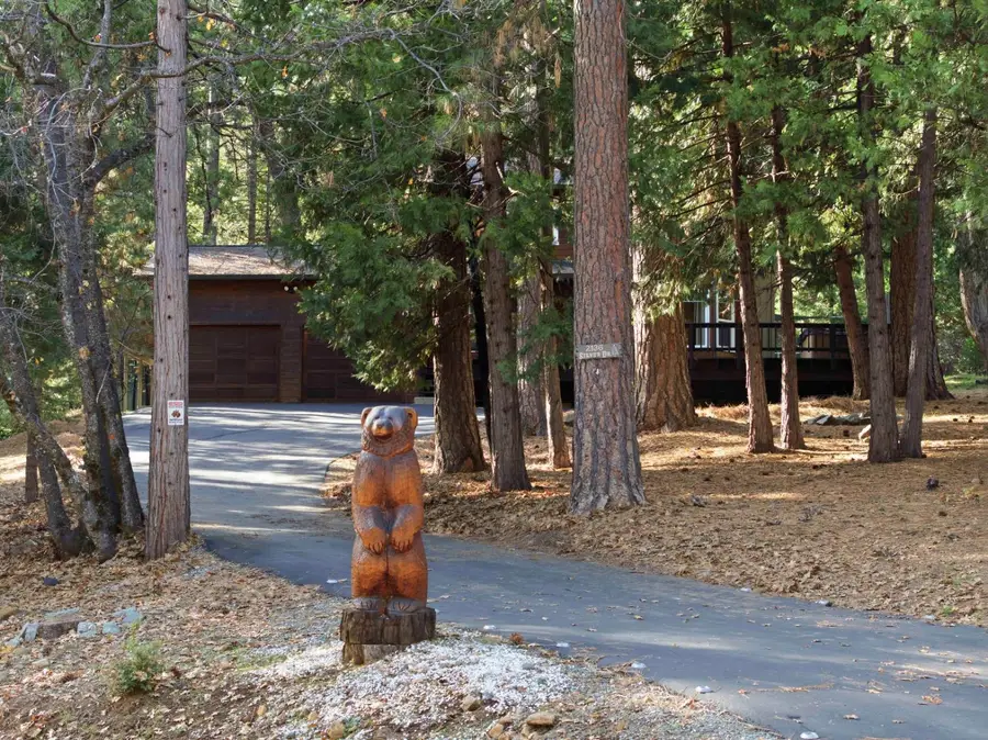 2136 Silver Drive, Arnold, CA 95223 - #3