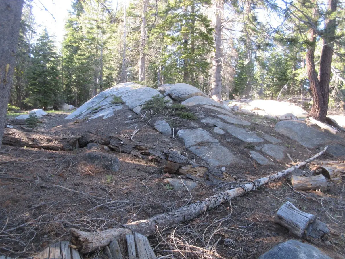 175 Silver Tip Drive, Bear Valley, CA 95223 - #1