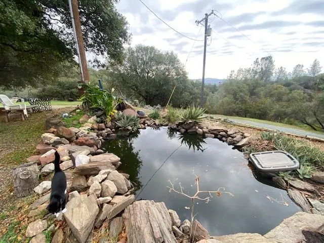 20748 Canyon View Drive, Jackson, CA 95642 - #2