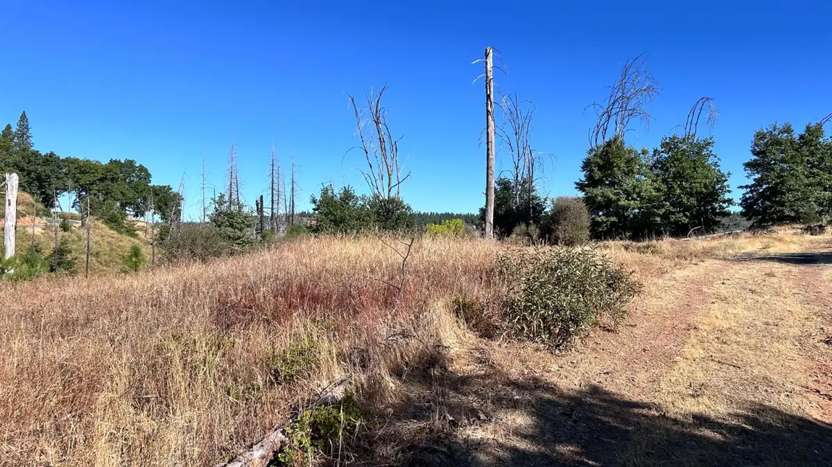 6028 Railroad Flat Rd., Mountain Ranch, CA 95246 - #1