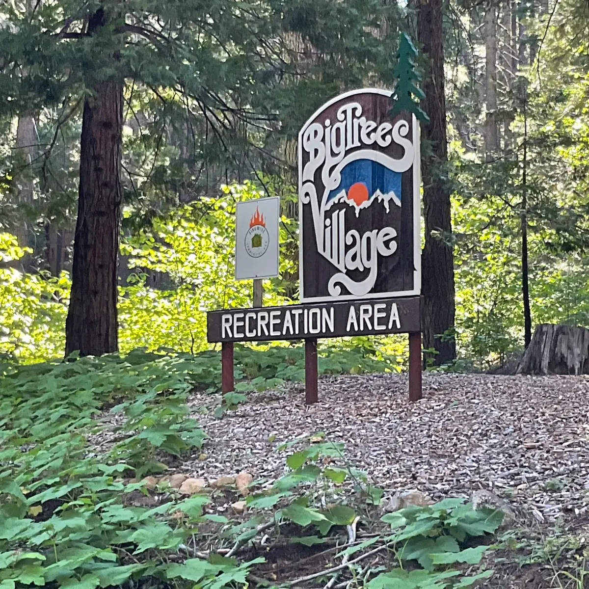 5186 Meko, Camp Connell, CA 95223 - #1