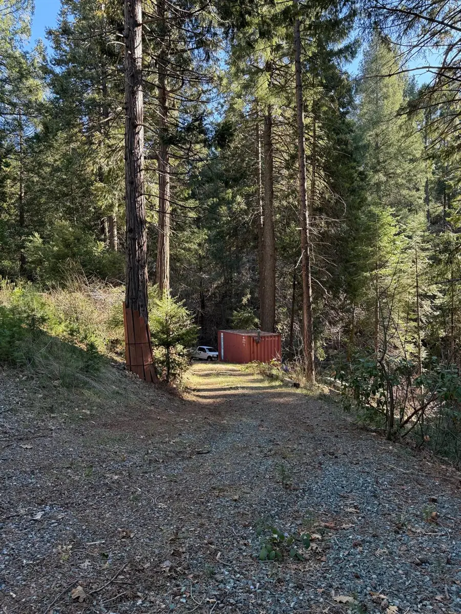 1833 Sams Lane, Pollock Pines, CA 95726 - Image #2