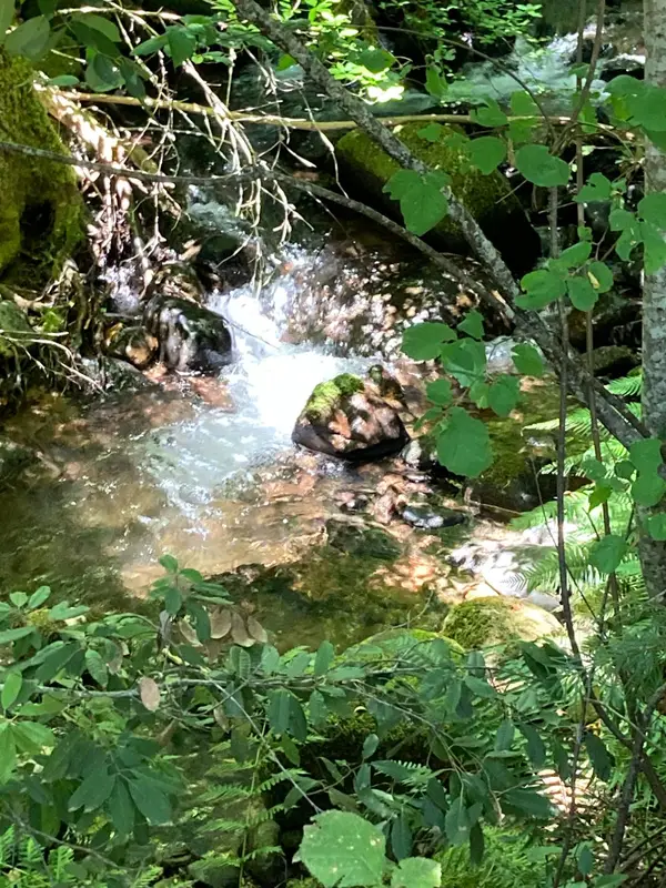 0 Baker Road, Camptonville, CA 95922