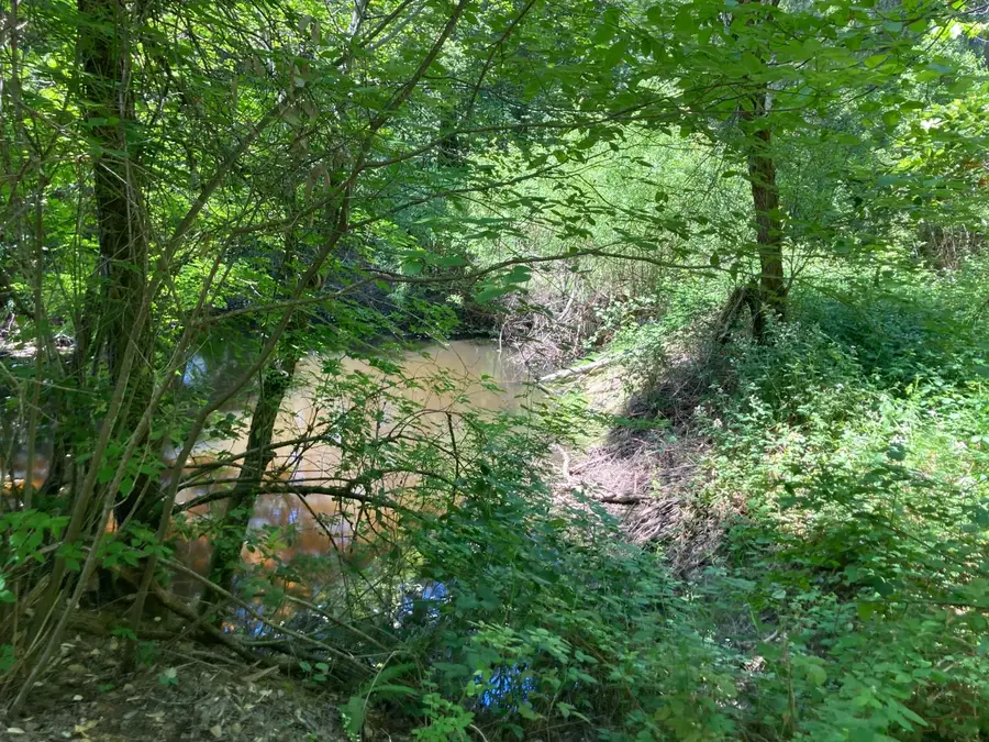 0 Baker Road, Camptonville, CA 95922 - Image #2