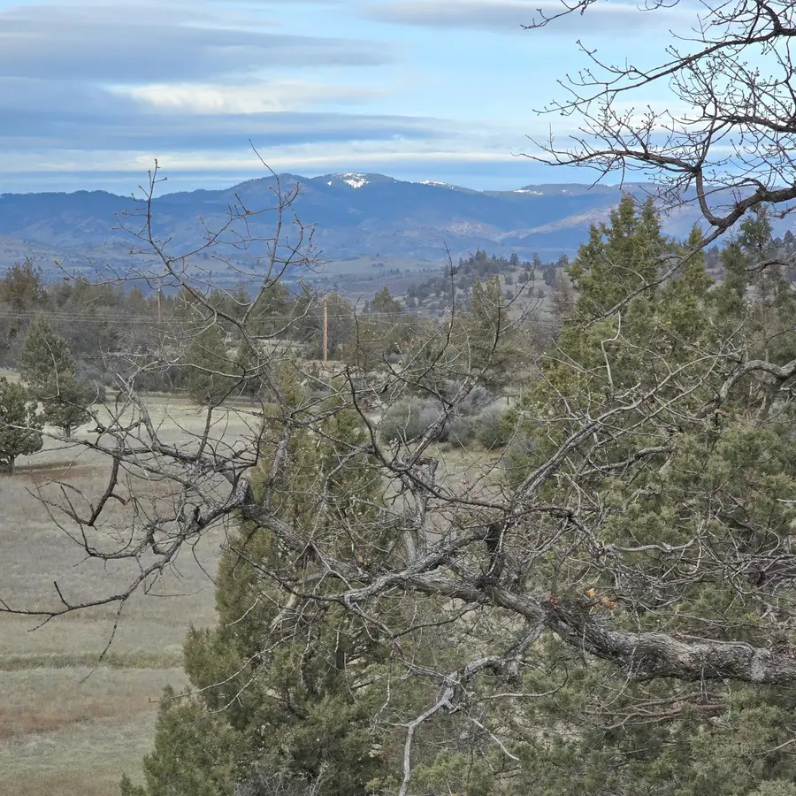 730 Grouse Way, Hornbrook, CA 96044 - Image #2