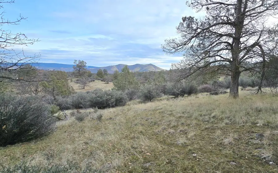 730 Grouse Way, Hornbrook, CA 96044 - Image #3