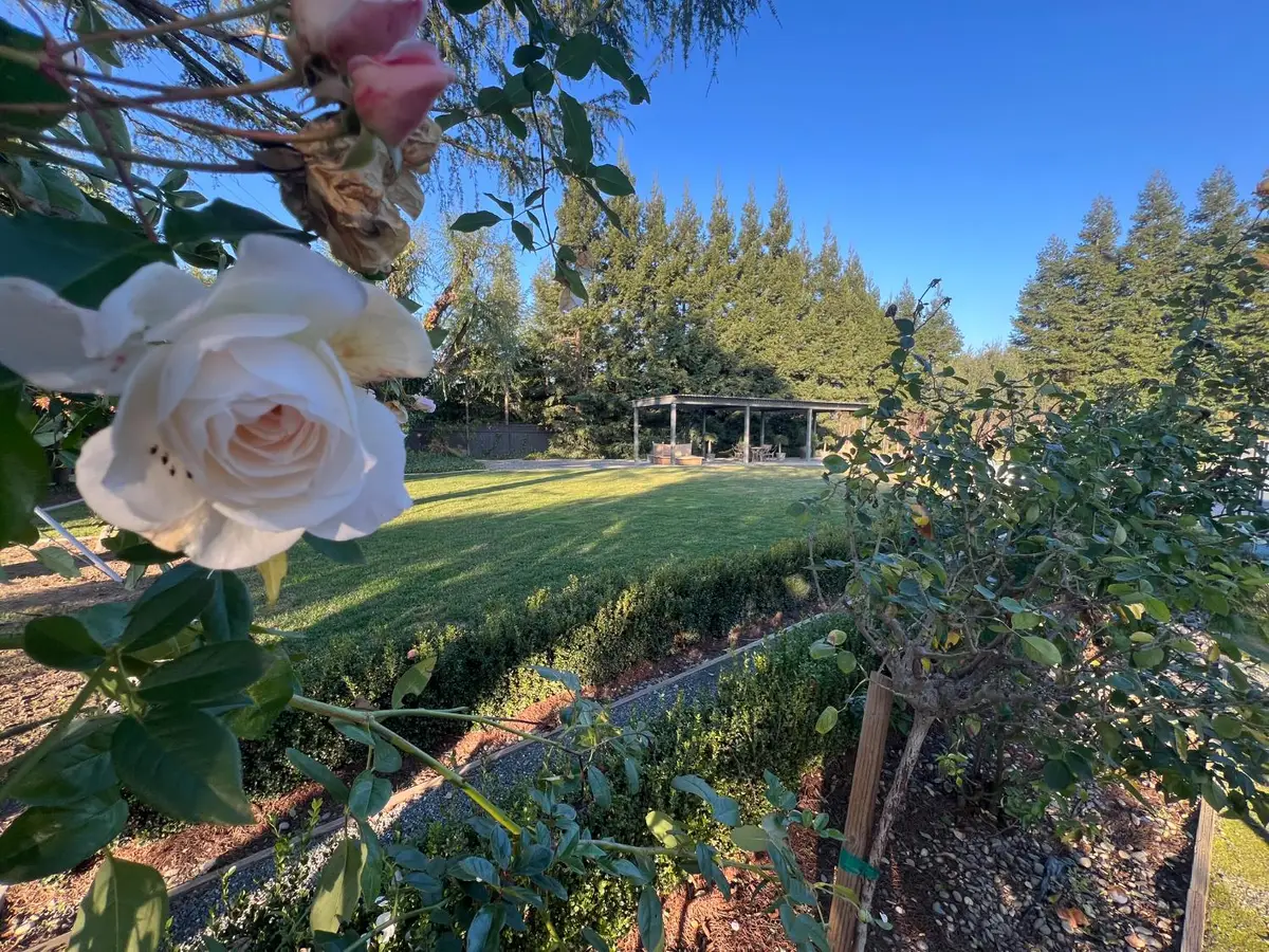 3955 Coffee #53, Modesto, CA 95355 - Image #1