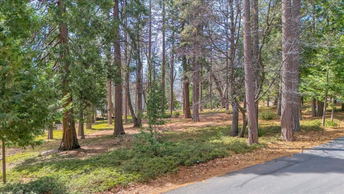 5556 Wylderidge Drive, Murphys, CA 95247 - #1