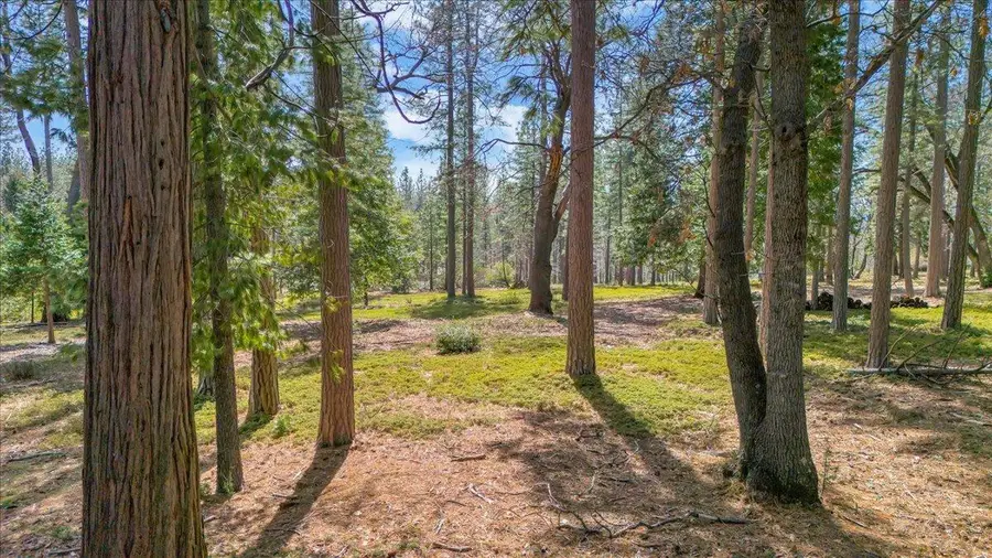 5556 Wylderidge Drive, Murphys, CA 95247 - #3