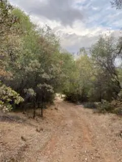 0 Fire Camp Rd, Bangor, CA 95914 - Image #3