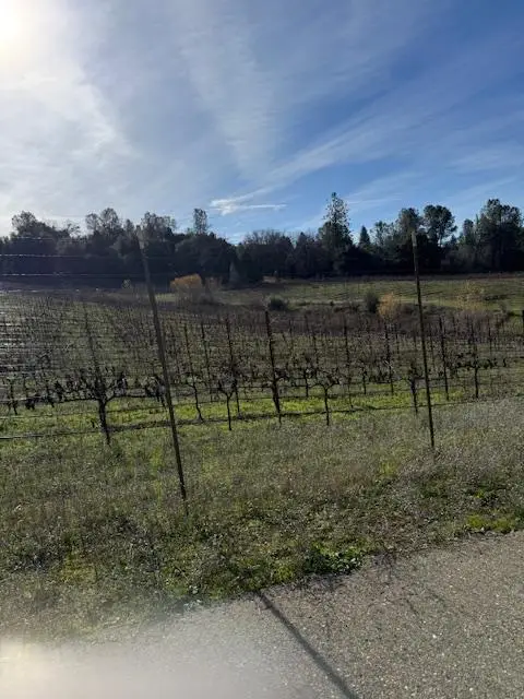 7017 Idlewild Rd, Somerset, CA 95684 - #1