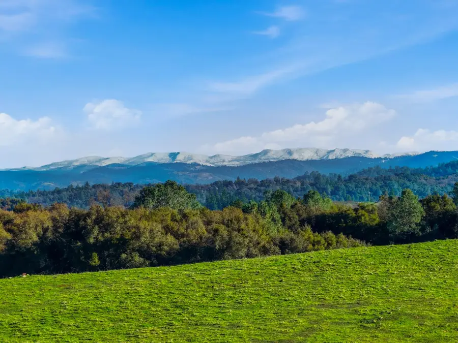 11777 Shenandoah Road, Plymouth, CA 95669 - Image #3