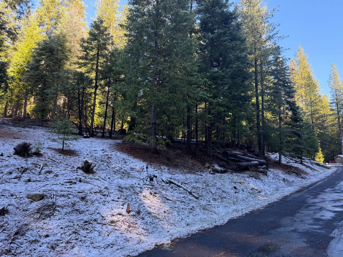 27627 Ashland Drive, Pioneer, CA 95666 - Image #1