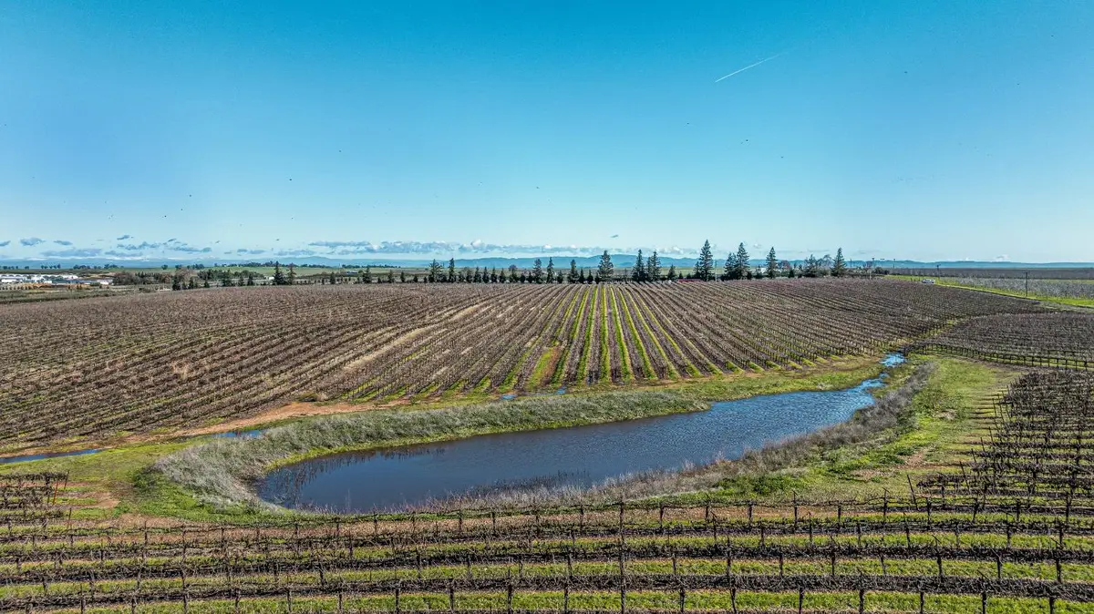 20075 E Kettleman Lane, Lodi, CA 95240 - Image #1