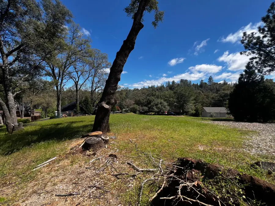 0 Crest Pine Easement, Groveland, CA 95321 - Image #2