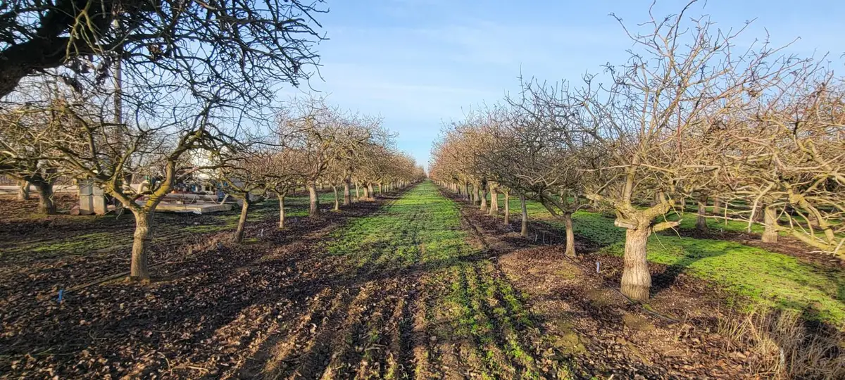 0 Santa Fe, Chowchilla, CA 93610 - Image #1