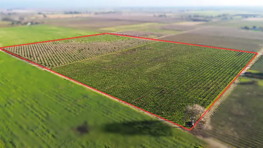 15910 N Locust Tree Road, Lodi, CA 95240 - Image #2