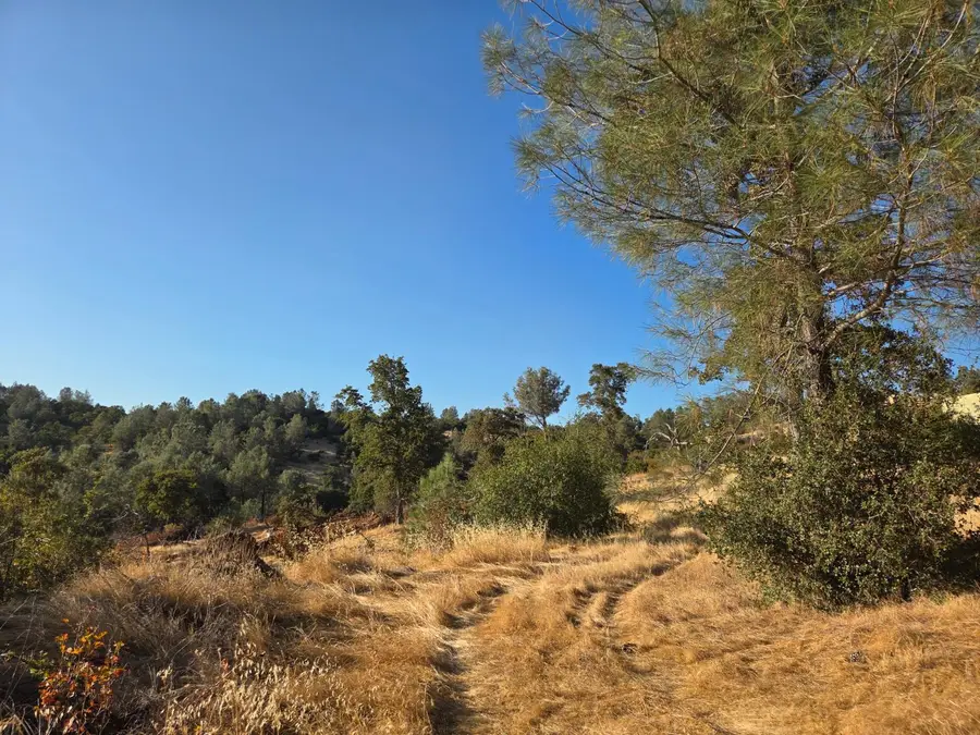 23026 Eldore Road, Smartsville, CA 95977 - Image #3