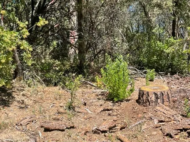 0 Broken Springs, Oroville, CA 95966 - Image #3