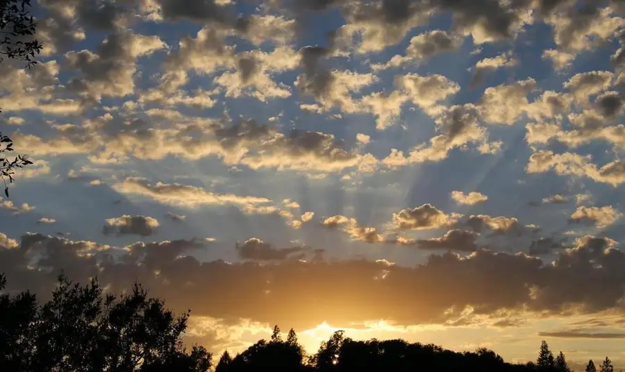 1440 Dog Bar, Colfax, CA 95713 - Image #3