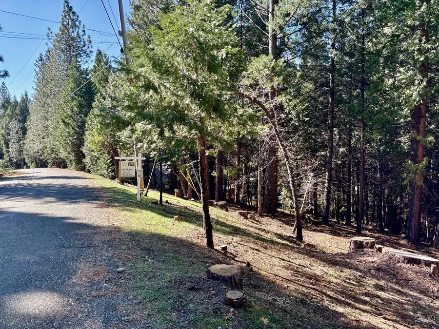 0 Park Woods Drive, Pollock Pines, CA 95726 - #3