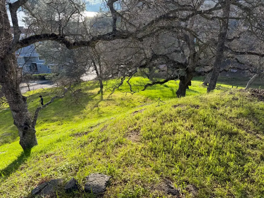 257 Thomson Lane, Copperopolis, CA 95228 - #2