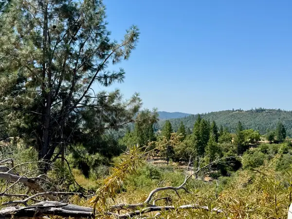 9055 Rodesino Road, Mountain Ranch, CA 95246