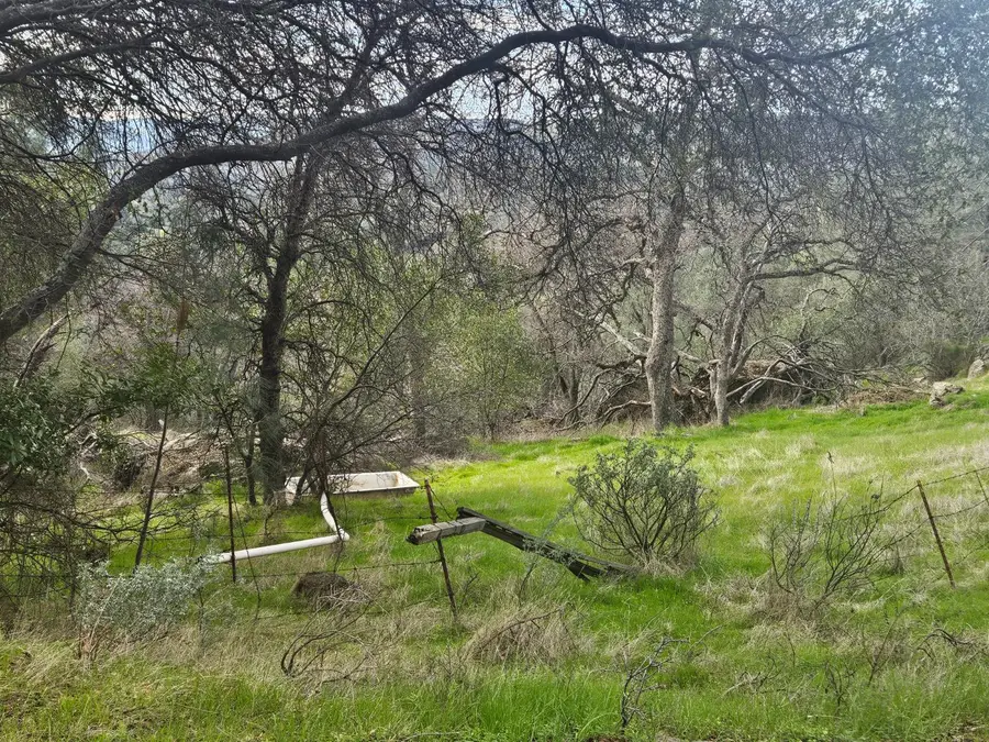 4394 Appaloosa Way, Angels Camp, CA 95222 - #3