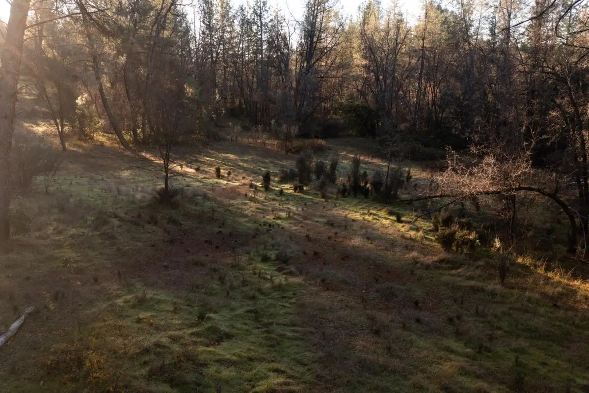 574 Higdon Spink Cutoff, West Point, CA 95255 - #1