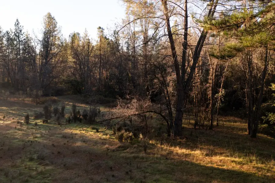 574 Higdon Spink Cutoff, West Point, CA 95255 - #2