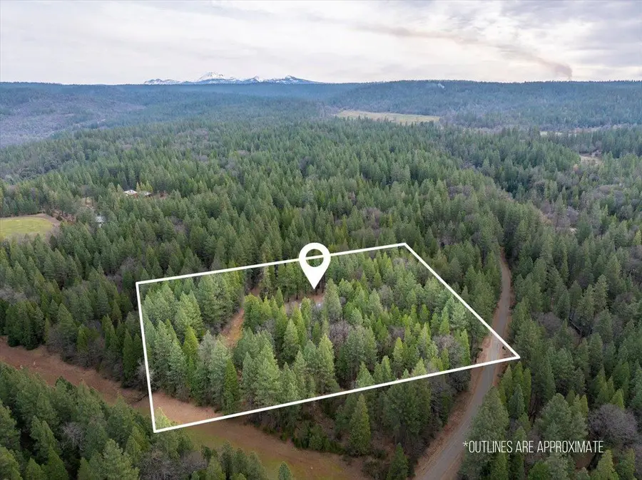 29960 Wengler Hill Road, Shingletown, CA 96088 - #3