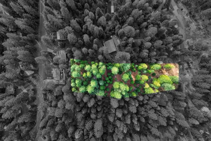 0 Rainbow Trl, Pollock Pines, CA 95726 - Image #2