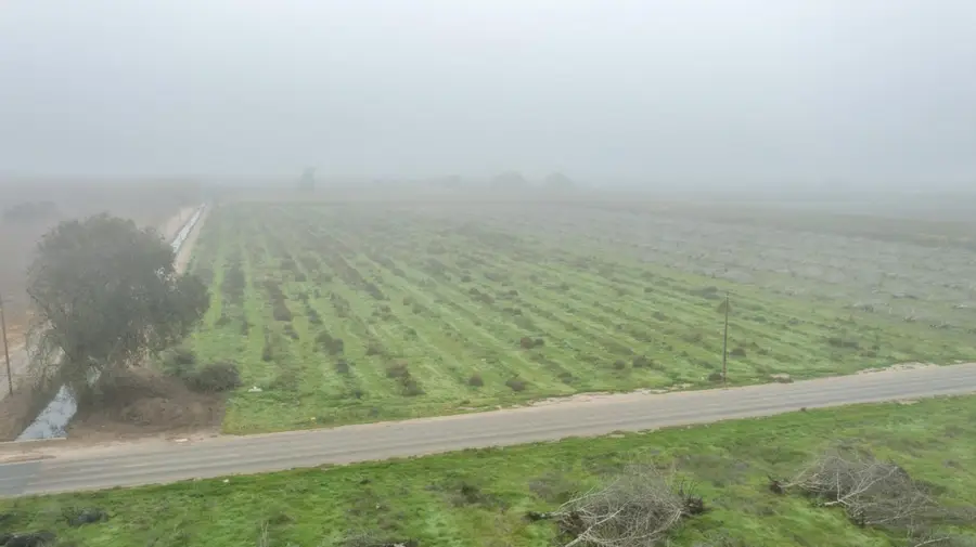 0 Road 208, Porterville, CA 93257 - Image #3