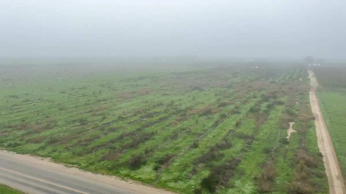 0 Road 208, Porterville, CA 93257 - #1