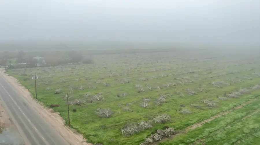 0 Road 208, Porterville, CA 93257 - #3