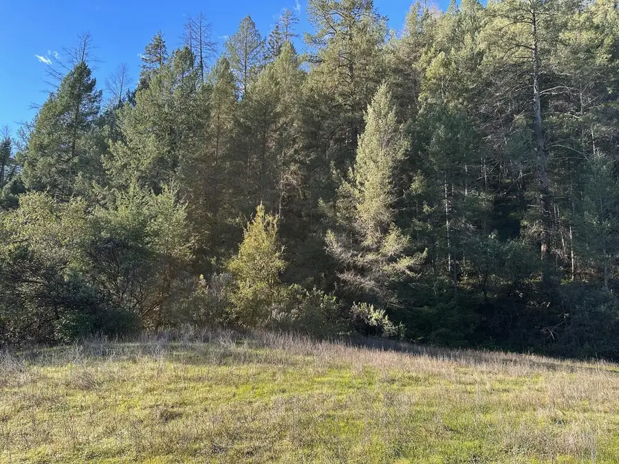 0 Tree Top Lane, Auburn, CA 95603 - Image #3