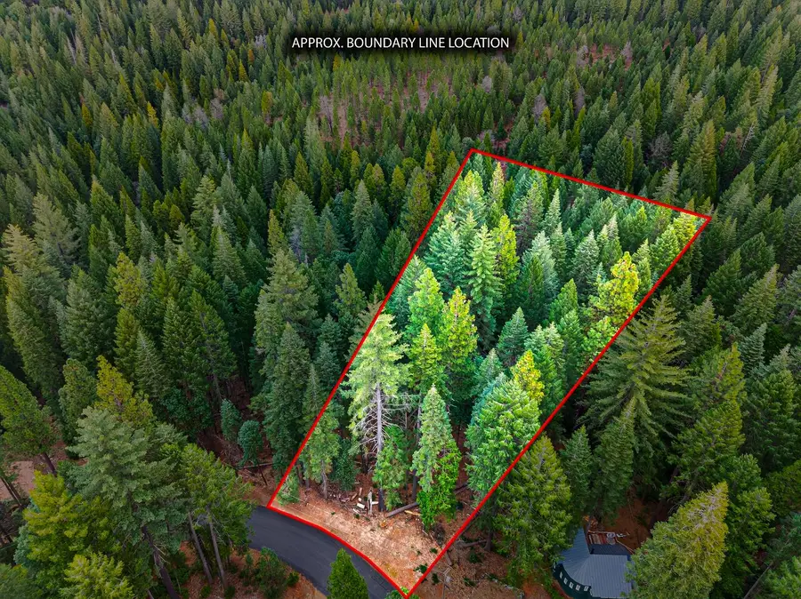 6300 Merry Way, Clipper Mills, CA 95930 - #2