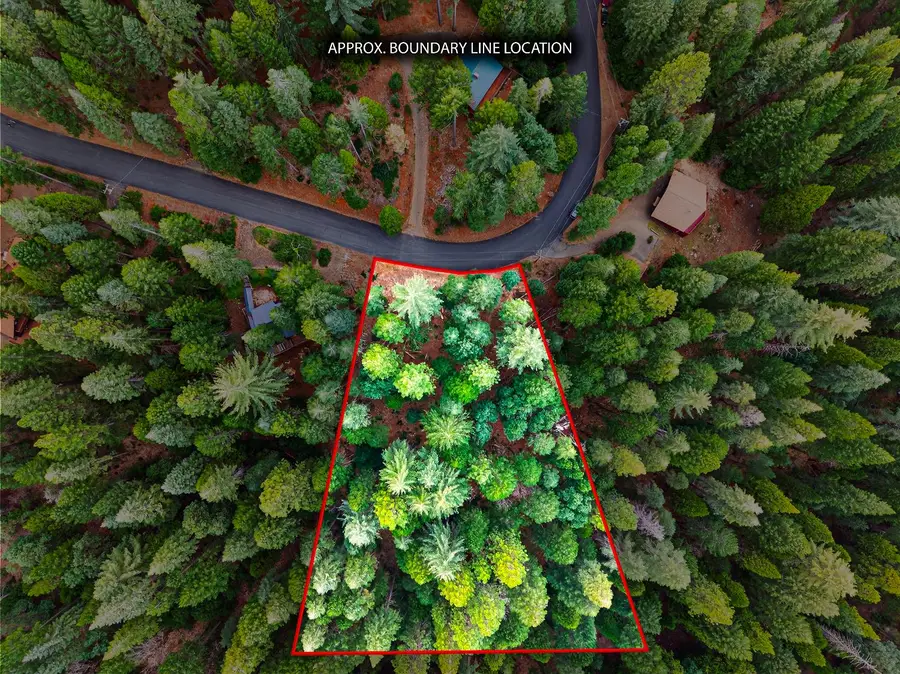 6300 Merry Way, Clipper Mills, CA 95930 - #3