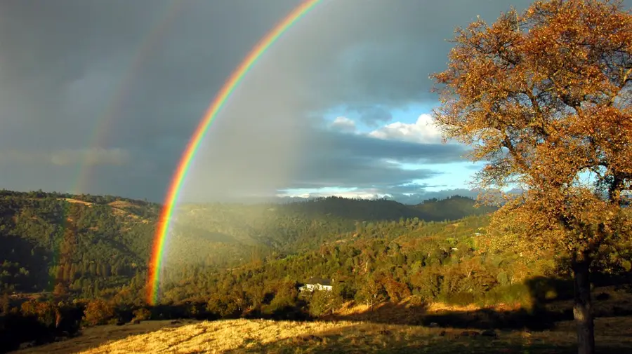 10428 Riffle Box Road, Rough And Ready, CA 95975 - #2