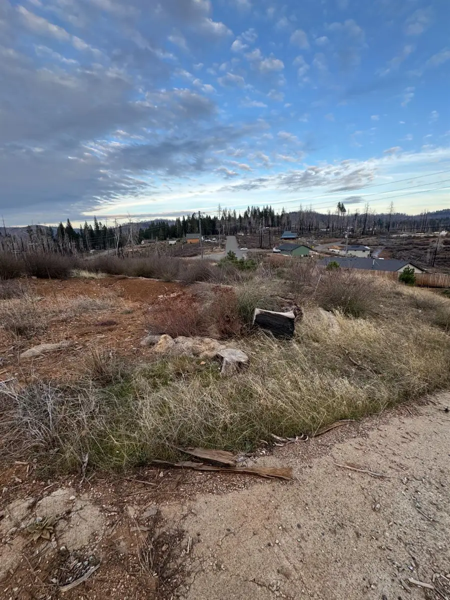 4908 Sciaroni Road, Grizzly Flats, CA 95636 - #3