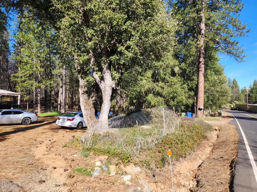65 S Railroad Flat Road, Mokelumne Hill, CA 95245 - Image #3