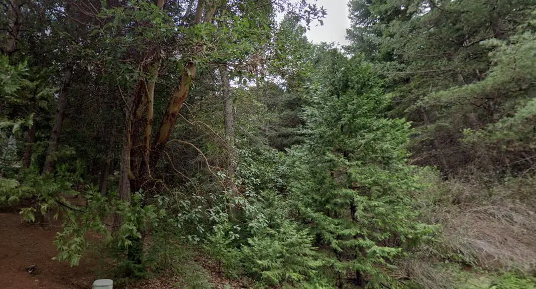 25890 Golf Links Drive, Pioneer, CA 95666 - Image #1