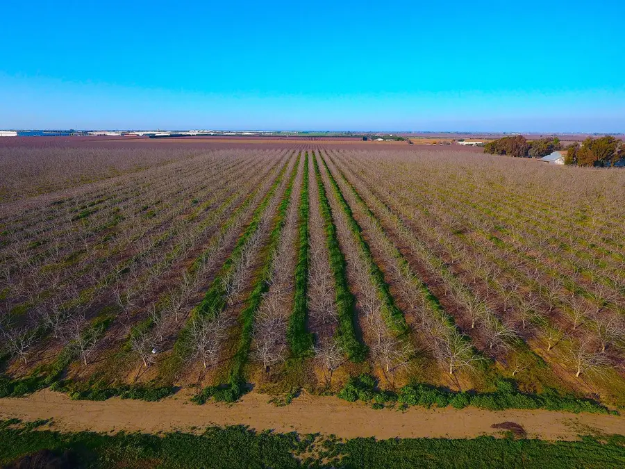 28201 S Banta Road, Tracy, CA 95304 - Image #2