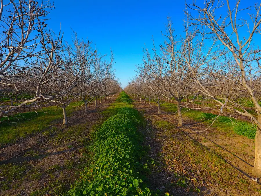 28201 S Banta Road, Tracy, CA 95304 - Image #3