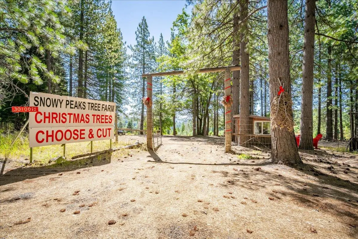 30100 Foresthill Road, Foresthill, CA 95631 - #1